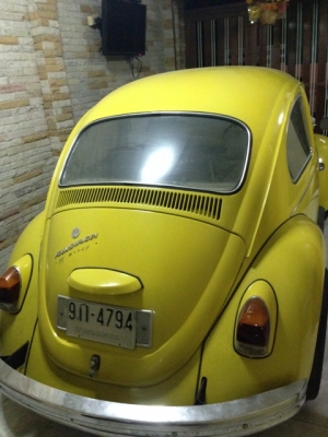 **ขาย น้องเต่าน่ารักๆvw ตาตั้ง ปี 67**