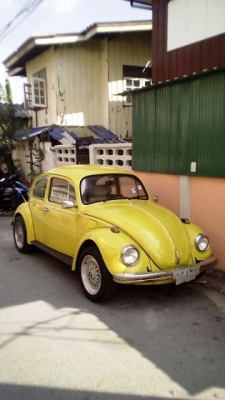 **ขาย น้องเต่าน่ารักๆvw ตาตั้ง ปี 67**