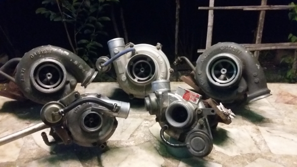 ขายturboยกชุดมี5ลูกสวยๆด่วน