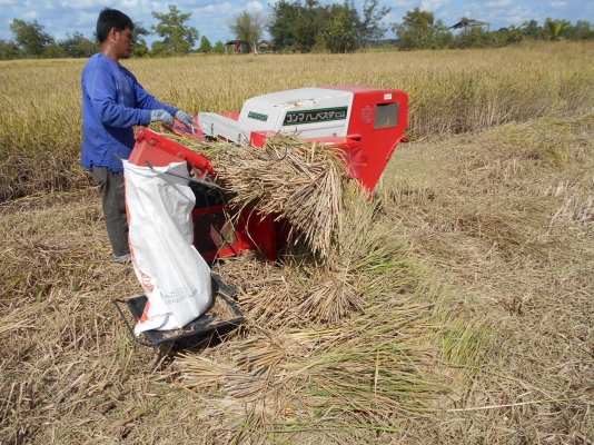 เครื่องนวดข้าว ISEKI HMG40 เครื่องนวดข้าว ISEKI HMG40