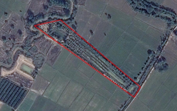 ขายที่ มะปราง มะยงชิด 8-2-30 ไร่ต.วังชะพลู อ.ขาณุวรลักษบุรี จ.กำแพงเพชร