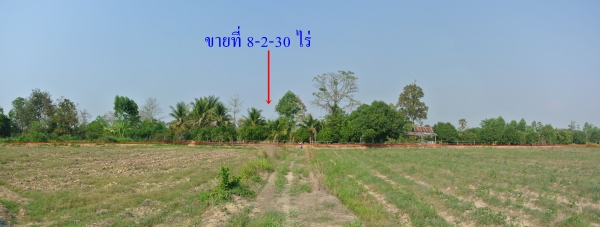 ขายที่ มะปราง มะยงชิด 8-2-30 ไร่ต.วังชะพลู อ.ขาณุวรลักษบุรี จ.กำแพงเพชร