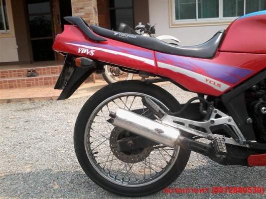 ขาย TZR150 ทะเบียนเต็มพร้อมโอนเครื่องดีระบบไฟออกแตรดังรถเก็บสภาพมาใหม่สวยๆ ขาย 9500 บาท ขาย TZR150 ทะเบียนเต็มพร้อมโอนเครื่องดีระบบไฟออกแตรดังรถเก็บสภาพมาใหม่สวยๆ ขาย 9500 บาท