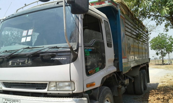 นางฟ้า 240 หัวเดก้าแม่-ลูกลดราคาเหลือ1320000บาท