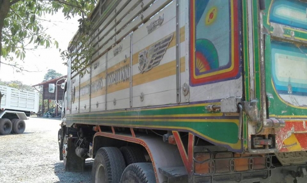 นางฟ้า 240 หัวเดก้าแม่-ลูกลดราคาเหลือ1320000บาท