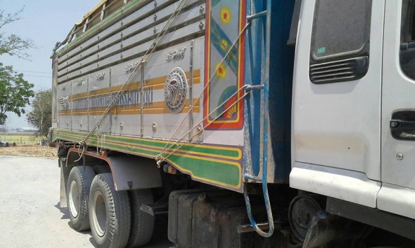 นางฟ้า 240 หัวเดก้าแม่-ลูกลดราคาเหลือ1320000บาท