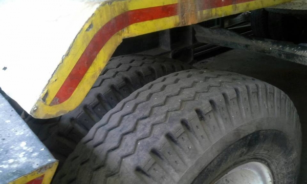 นางฟ้า 240 หัวเดก้าแม่-ลูกลดราคาเหลือ1320000บาท