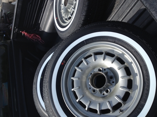 ขายเล็บสิงห์14