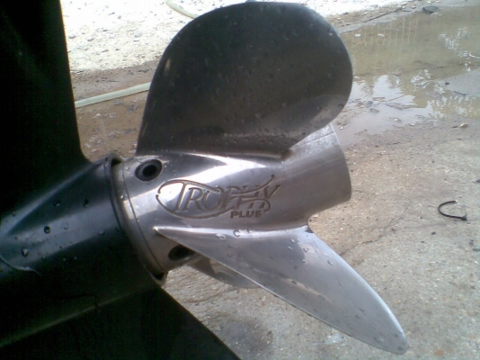 ขายเรือ Champion 21 ฟุต พร้อมเครื่อง Mercury