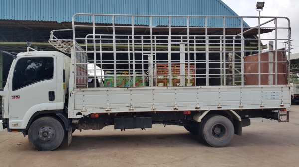 ขายรถ 6 ล้อ กระบะคาร์โก้ คอกรั้วสูง ISUZU FRR90L9T ปี.53 ปรายปี เครื่อง 210 รถสวยมาก ราคา.1000000 ต่อรอง