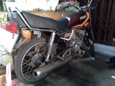 ***คอนคอร์ด***