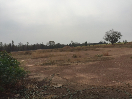 ขายที่ดิน 86 ไร่