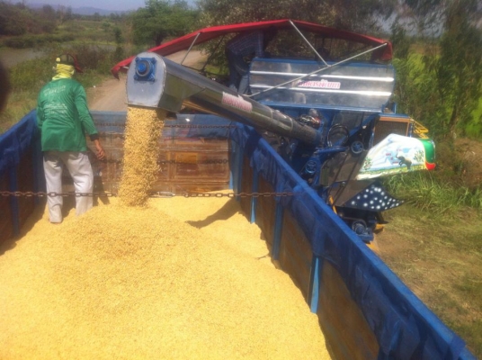 **735,000 บ.ต่อรอง///6ล้อดั้มเกษตรROCKY-175**ขายISUZU ROCKY-175 6ล้อดั้มเนียมเกษตรสวยๆ ROCKY FSR12HA 6BG1-175HP ปี39 เครื่อง175แรง แห้งๆ แน่นๆ ไม่มีเยิ้ม แรงดี ประหยัด อึด เกียร์ร็อคใหญ่6เกียร์เดิมหน้า7เกียร์ถอย พร้อมลุย ไม่มีหอน เข้าง่าย ช่วงล่างFหน้า-หล