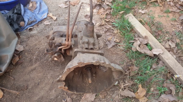 ขายเกียรจี้ปสามก้านพร้อมหัวหมูคับ