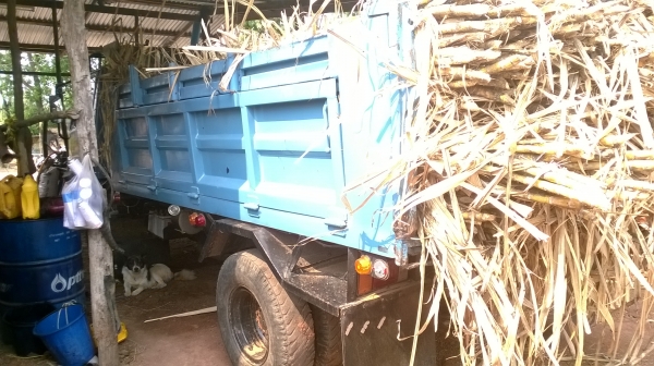 ***หกล้อดัมพ์***NPR100แรง//JAANPR59LK รหัส 4BC2 ปี 42 ยาง8.25  โทรหาลุงโหนก 081 074 5778 จ้า