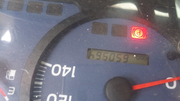 ขายด่วน10หัวลาก