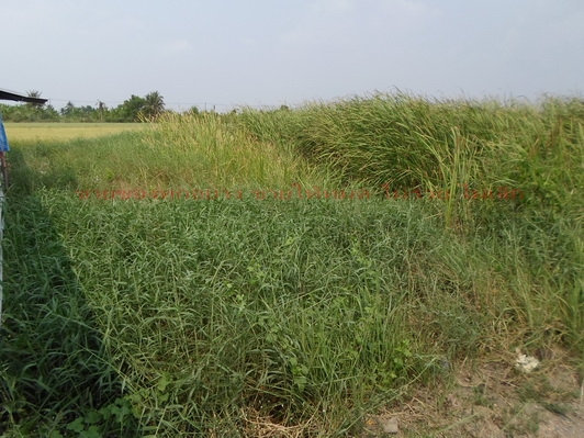 ปิดการขายค่ะ ขอบคุณค่ะ