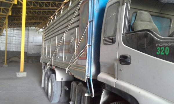 Rocky240 หัวDeca