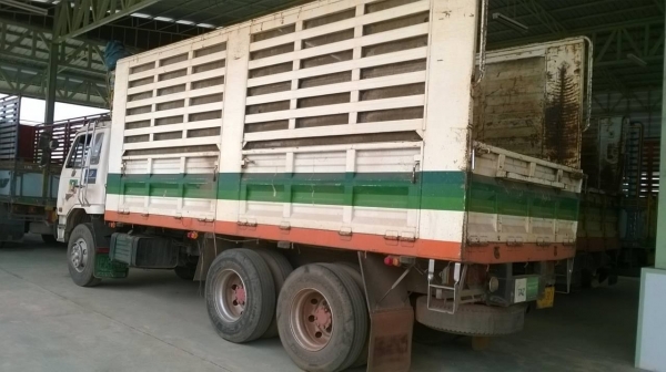 ขาย 10 ล้อ เพลาเดียว NISSAN CDA211M เครื่อง FE6-T เทอร์โบ 220 แรงม้า คัสซีสวยตลอดเส้น เบรคทิฟฟี่ เพาวเวอร์ ยางเรเดียลเต็มทั้ง 10 เส้น ทะเบียนพร้อมโอนครับ