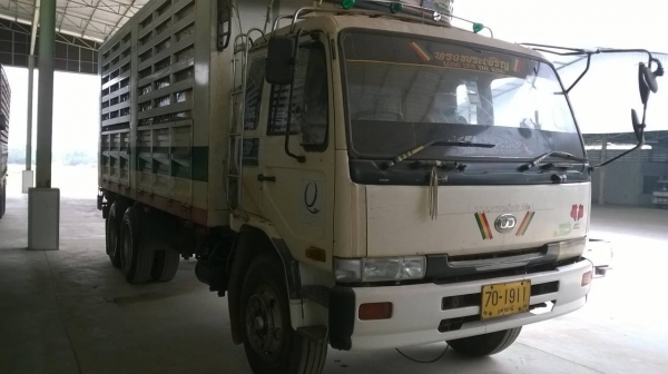 ขาย 10 ล้อ เพลาเดียว NISSAN CDA211M เครื่อง FE6-T เทอร์โบ 220 แรงม้า คัสซีสวยตลอดเส้น เบรคทิฟฟี่ เพาวเวอร์ ยางเรเดียลเต็มทั้ง 10 เส้น ทะเบียนพร้อมโอนครับ