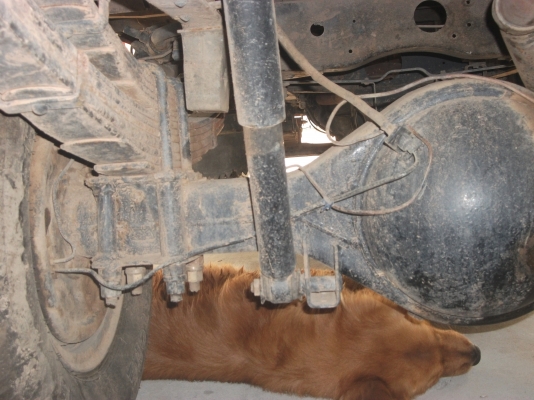 ขายรถหกล้อ110เเรงครัชซี115รถประกอบ