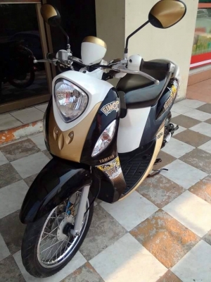 รุ่นใหม่ล่าสุด Yamaha Fino Fi ปี 2556 ลาย Fashion รถสวยจริง พัฒนาเป็นหัวฉีดแล้ว ประหยัดน้ำมันสุดคุ้ม