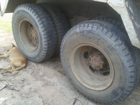 ขายดั้มMITSUBISHI FN527M-TD เครื่อง6D16พ.เพาเวอร์ เบรกทิฟฟี่ ภายในสวย ยางดี สภาพพร้อมใช้งาน เอกสารพร้อมโอน จัดไฟแนนซ์ได้ เงื่อนไขง่ายๆวันเดียวรับรถ สนใจโทร 090-8588220คุณนะ 093-3258446คุณบิว ID:narong498 หรือ www.truck.in.th/498 หรือfb:ณรงค์ ซื้อขายรถมือส