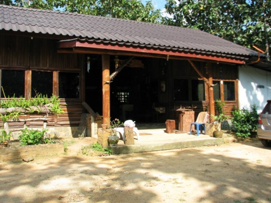 ขายสวนสักทองและสวนยางพารา ทองผาภูมิ กาญจนบุรี