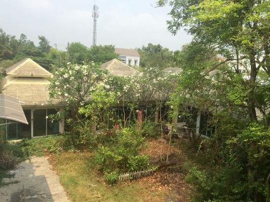 ให้เซ้งร้านอาหารทำเลดีติดถนนนครอินทร์ ใกล้วงเวียนพระราม5 หมู่บ้านเยอะ เนื้อที่4ไร่กว่าจอดรถได้มากกว่า200คันสนใจสอบถามได้