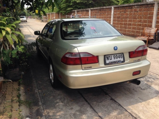 ขาย Accord งูเห่า 99000 บาท ขาย Accord งูเห่า 99000 บาท