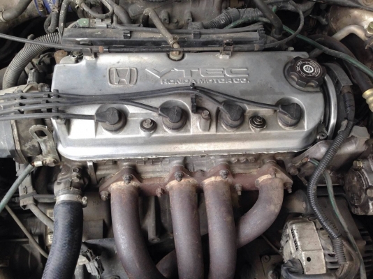 ขาย Accord งูเห่า 99000 บาท ขาย Accord งูเห่า 99000 บาท