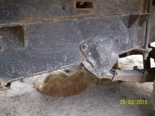 ขาย4กลาง74แรง อยุ่ จ..ศรีสะเกษ