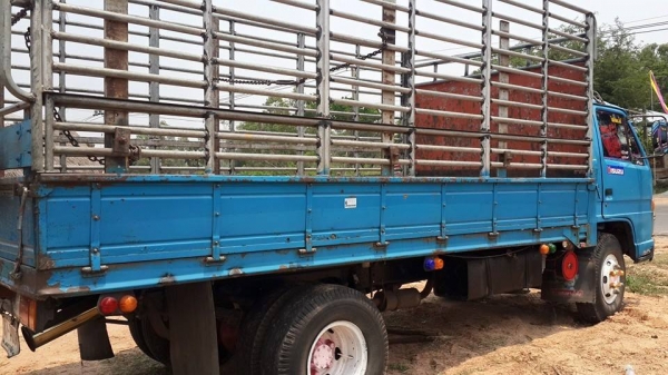 ขาย6ล้อ อีซูซุNPR 115พร้อมคอกบรรทุก แชชซีสวย เครื่องดี สภาพพร้อมใช้งาน เอกสารเล่มทะเบียนพร้อมโอน ขาย6ล้อ อีซูซุNPR 115พร้อมคอกบรรทุก แชชซีสวย เครื่องดี สภาพพร้อมใช้งาน เอกสารเล่มทะเบียนพร้อมโอน