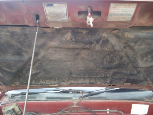 มังกรทองตอนเดียว ยอดประหยัด เครื่อง2500cc 90hp  ปี36 เครื่องแน่นๆ แคสซีสวยมาก แอร์หนาวๆ  ล้อแม็ก ดอกยางเต็ม ตัวรถไม่ผุ กะบะไม่ผุ สวยน่าใช้มากๆ