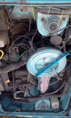 ขายแตงโม20000บาท