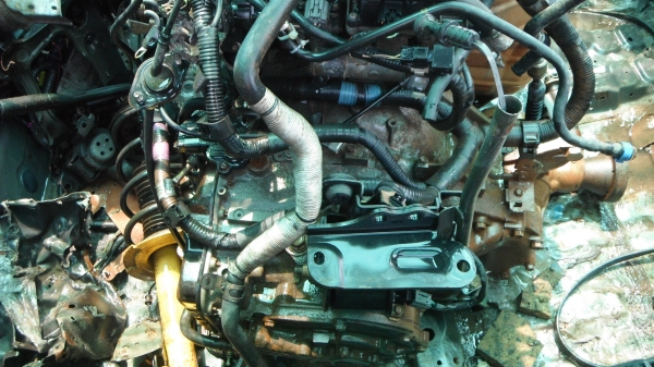 -ขายเกียร์ ford escape -ขายเกียร์ ford escape