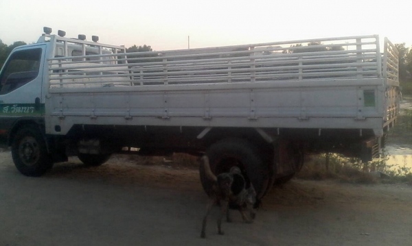 ขาย 6 ล้อ MITSUBISHI CANTER ปี 45 สภาพสวยพร้อมใช้ เครื่อง 4D34 110 แรงม้า คัสซีสวยตลอดเส้น แอร์เย็น ทะเบียนพร้อมโอน ราคาต่อรองได้ครับ ขาย 6 ล้อ MITSUBISHI CANTER ปี 45 สภาพสวยพร้อมใช้ เครื่อง 4D34 110 แรงม้า คัสซีสวยตลอดเส้น แอร์เย็น ทะเบียนพร้อมโอน ราคาต่อรองได้ครับ