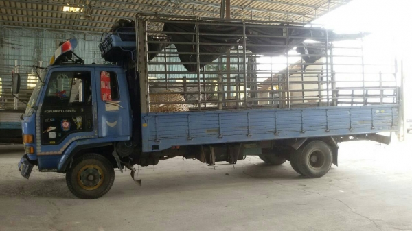 ขาย6ล้อ อีซูซุร็อกกี้195แรง พ.เพาเวอร์ เบรกทิฟฟี่ ยาว6.20เมตร เครื่องดี คัชซีสวย ยางดี สภาพพร้อมใช้งาน เอกสารพร้อมโอน สนใจโทร0908588220คุณนะ 093-3258446คุณบิวตี้ ID:narong498 หรือ www.truck.in.th/498 หรือfb:ณรงค์ ซื้อขายรถมือสอง (เว็บไซต์ส่วนตัว)