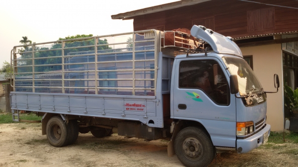 ขายรถบรรทุก 6 ล้อ