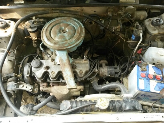 ขาย b11 ขาย b11