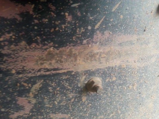 ขาย10ล้อ2เพลา ดั้มFM3M เครื่อง245แรง พ.เพาเวอร์ เบรกทิฟฟี่ กระบะดั้มมิเนียม เครื่องดี ภายในสวย ยางดี คัชซีสวย สภาพพร้อมใช้งาน เอกสารพร้อมโอน สนใจโทร 090-8588220คุณนะ 093-3258446คุณบิว ID:narong498 หรือ www.truck.in.th/498 หรือfb:ณรงค์ ซื้อขายรถมือสอง (เว็