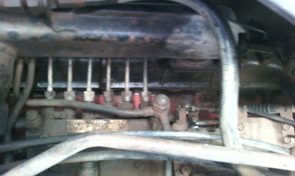 รถอีซูซุ 10 ล้อดั้ม FXZ  240 แรงม้า. ปี 39  ( นางฟ้าแท้. )   สนใจติดต่อ   081 - 6079515