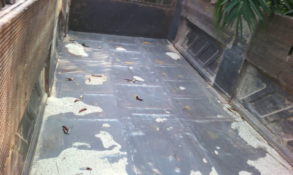 รถอีซูซุ 10 ล้อดั้ม FXZ  240 แรงม้า. ปี 39  ( นางฟ้าแท้. )   สนใจติดต่อ   081 - 6079515