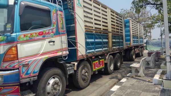 ขายรถสิบล้อ hino FM1A  344 ปี 52 คอกเกษตรดั้มเหล็ก อู่CT TRUCK รถเดิมๆราคาต่อรอง