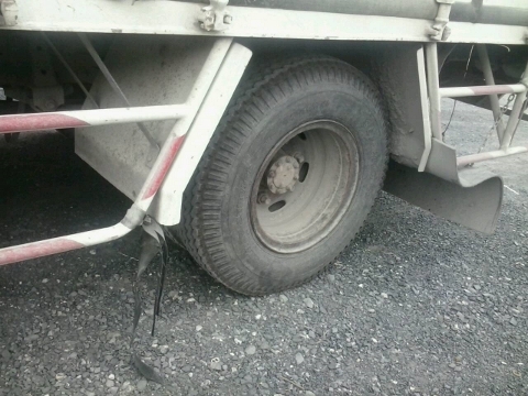 ขายด่วน ISUZU 130 แรง ปี 49 สวยๆเดิมๆ ไม่เคยบรรทุกหนัก