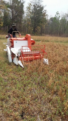 รถเก็บเกี่ยวถั่วขนาดเล็ก 089-5512032 รถเก็บเกี่ยวถั่วขนาดเล็ก 089-5512032