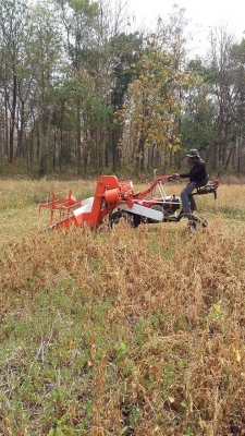 รถเก็บเกี่ยวถั่วขนาดเล็ก 089-5512032 รถเก็บเกี่ยวถั่วขนาดเล็ก 089-5512032