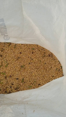 รถเก็บเกี่ยวถั่วขนาดเล็ก 089-5512032 รถเก็บเกี่ยวถั่วขนาดเล็ก 089-5512032