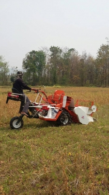 รถเก็บเกี่ยวถั่วขนาดเล็ก 089-5512032 รถเก็บเกี่ยวถั่วขนาดเล็ก 089-5512032