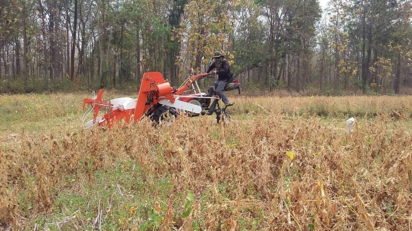 รถเก็บเกี่ยวถั่วขนาดเล็ก 089-5512032